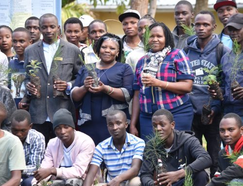 National Tree planting exercise